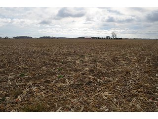 Property photo 13 - LAND AUCTION - 276.5+/- ACRES OFFERED IN 5 TRACTS IN EAST ALLEN COUNTY